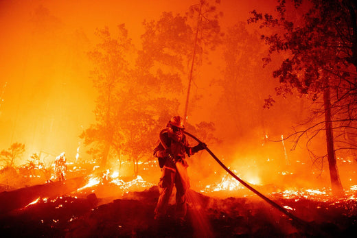 Join the Fight: How You Can Help California Wildfire Victims
