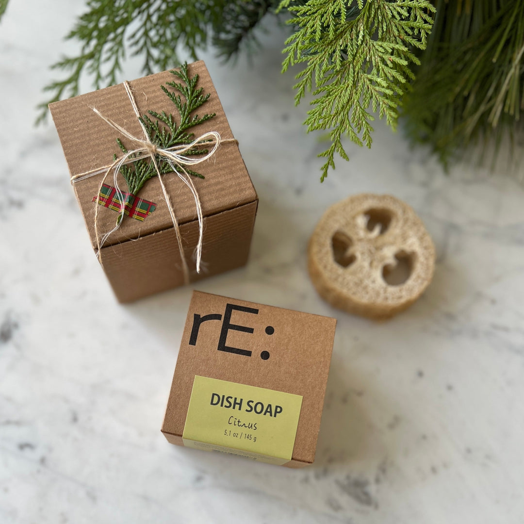 Dish Soap &amp; Loofah Slice Gift Set
