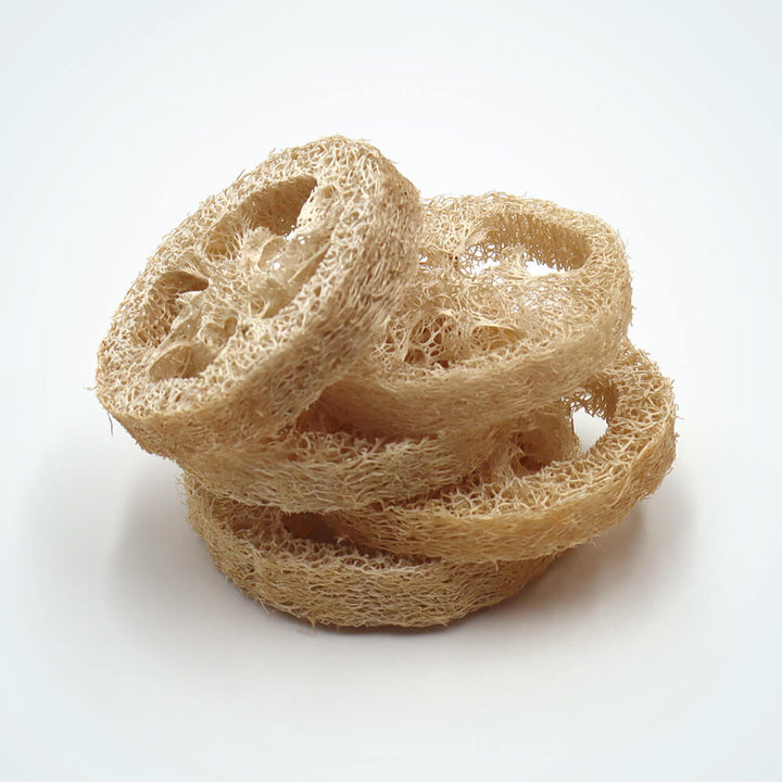 LOOFAH SLICES