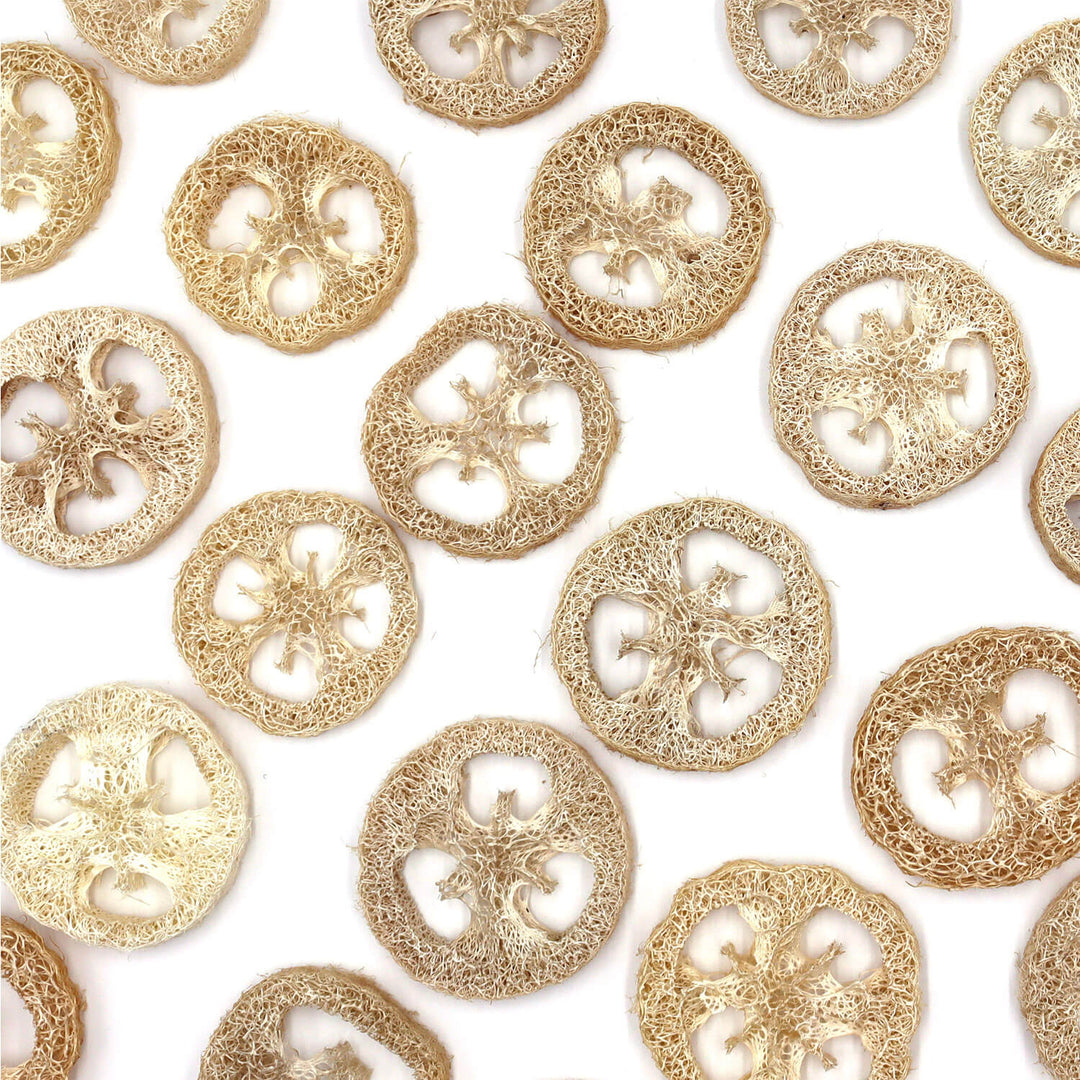 LOOFAH SLICES