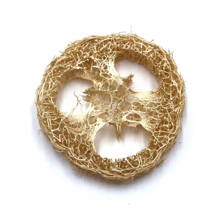 LOOFAH SLICES