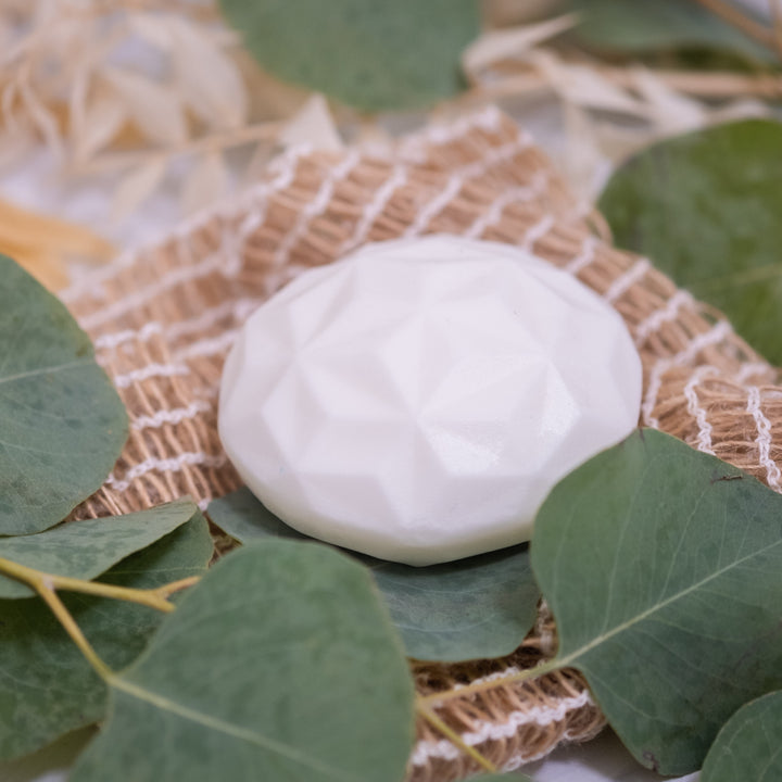 Ginkgo infused conditioner bar