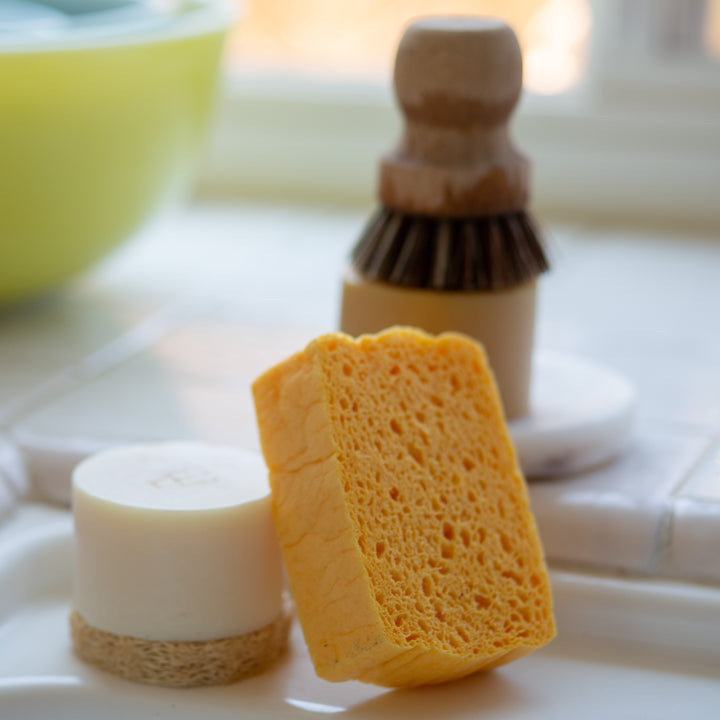 Pop Up Sponges (10 pk)
