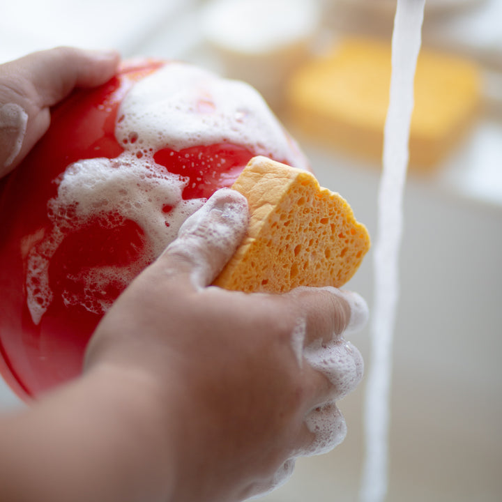 Pop Up Sponges (10 pk)